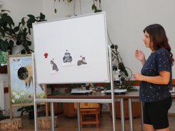 Półkolonie letnie 2025